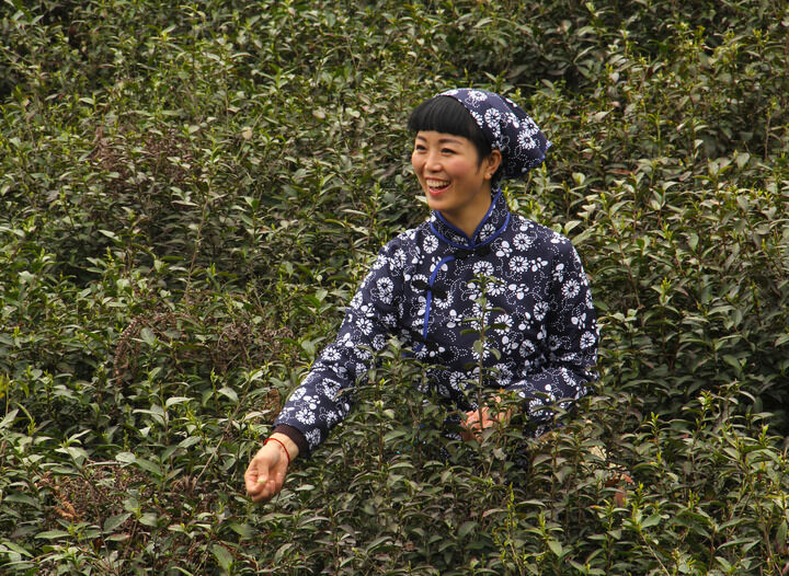 春月热门10
